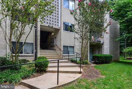 12215 Braxfield Ct #9 Rockville, MD 20852