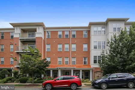 110 Chevy Chase St #301 Gaithersburg, MD 20878