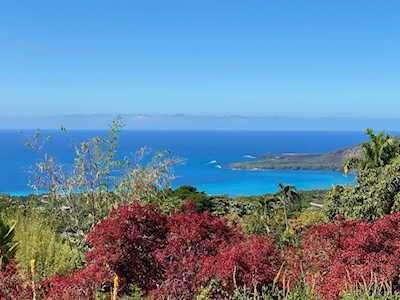 83-1036 Kahauloa Place Captain Cook, HI 96704