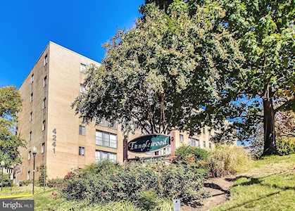 4241 Columbia Pike #206 Arlington, VA 22204