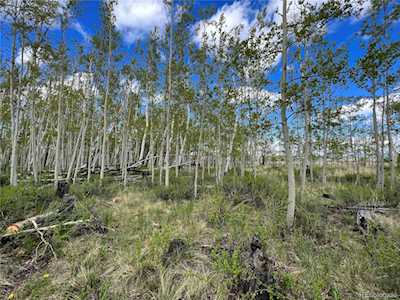 138 June Grass Fairplay, CO 80440