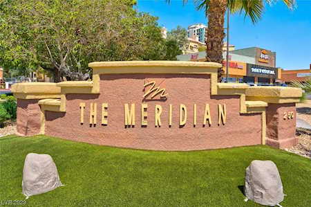 230 E Flamingo Rd #313 Las Vegas, NV 89169