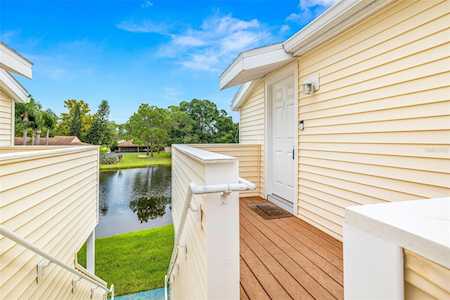 137 Hunter Lake Dr #C Oldsmar, FL 34677