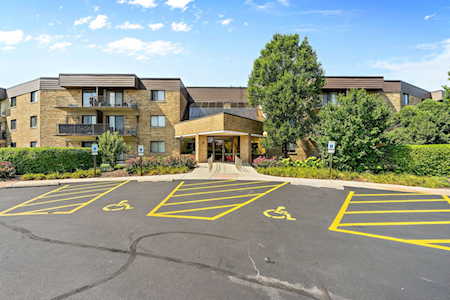5550 Astor Ln #203 Rolling Meadows, IL 60008