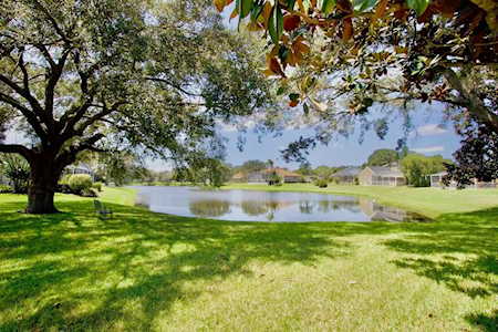 1031 Toski Dr Trinity, FL 34655