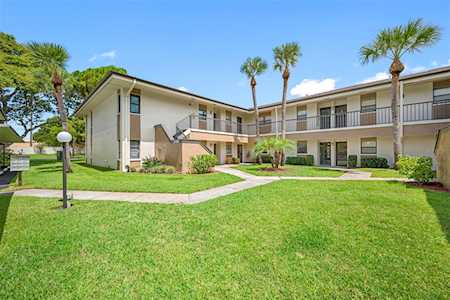 2700 Nebraska Ave #4-103 Palm Harbor, FL 34684