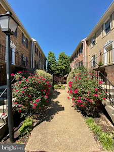 927 S Rolfe St #2 Arlington, VA 22204