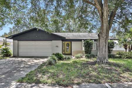 1344 Homestead Dr Palm Harbor, FL 34683