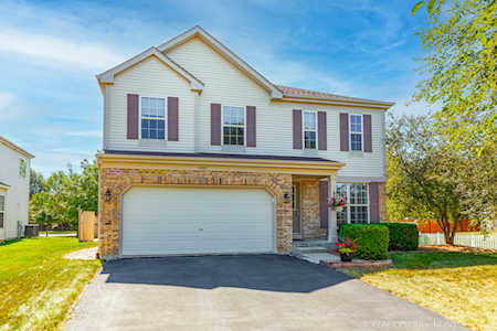 1507 Basswood Dr Bolingbrook, IL 60490