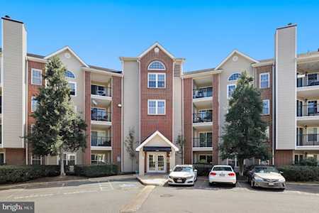 3313 Wyndham Circle #2220 Alexandria, VA 22302