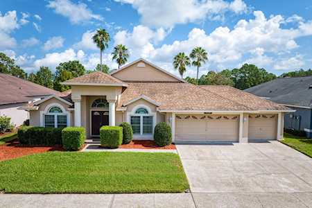 10025 Cypress Shadow Ave Tampa, FL 33647