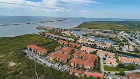 4333 Bayside Village Dr #206 Tampa, FL 33615