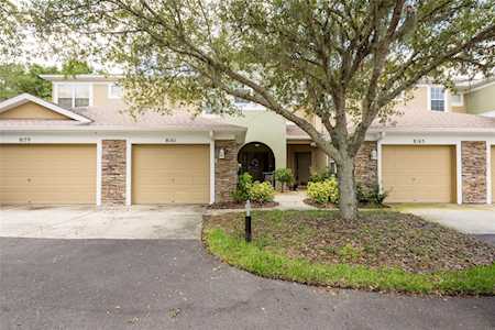 8161 Stone Leaf Ln Tampa, FL 33647