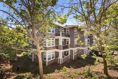 324 Crescent Ct Brisbane, CA 94005