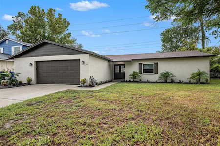 3909 Briarlake Dr Valrico, FL 33596