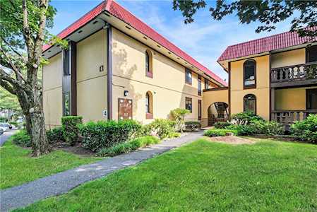 4 Granada Crescent #3 White Plains, NY 10603