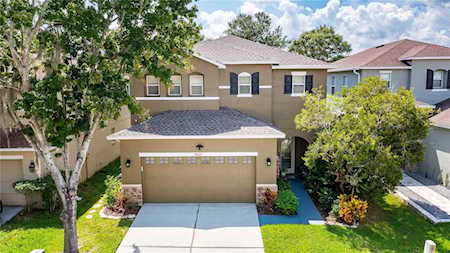 17620 Glenapp Dr Land O Lakes, FL 34638