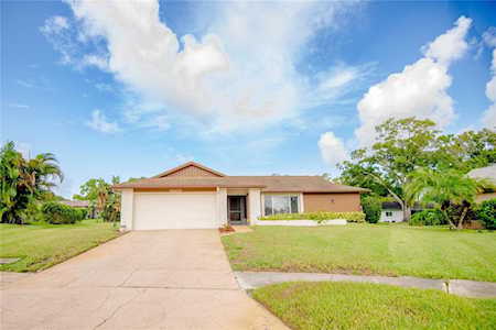 2800 Thistle Ct S Palm Harbor, FL 34684