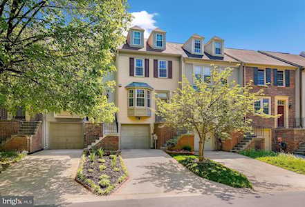 14227 Angelton Terrace Burtonsville, MD 20866