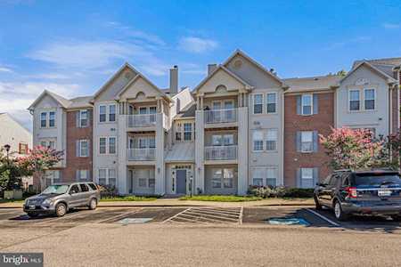 702 Orchard Overlook #204 Odenton, MD 21113