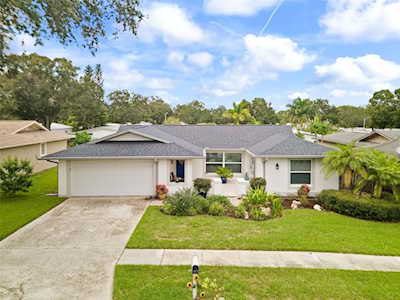 103 Timberview Dr Safety Harbor, FL 34695