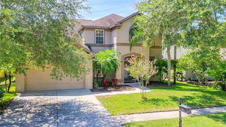 2914 Northfield Dr Tarpon Springs, FL 34688