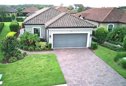 11686 Callisia Dr Odessa, FL 33556