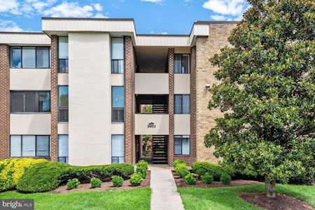 9903 Blundon Dr #6-201 Silver Spring, MD 20902