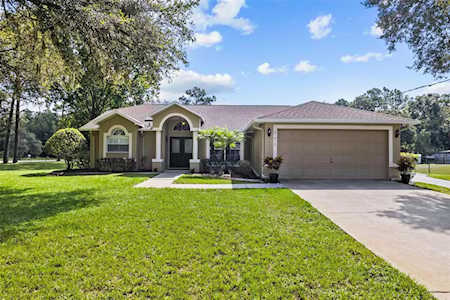27015 Golden Meadow Dr Wesley Chapel, FL 33544