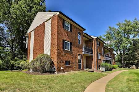 6 Conway Cove Dr Chesterfield, MO 63017
