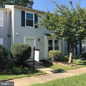6937 Villa Del Rey Ct Springfield, VA 22150