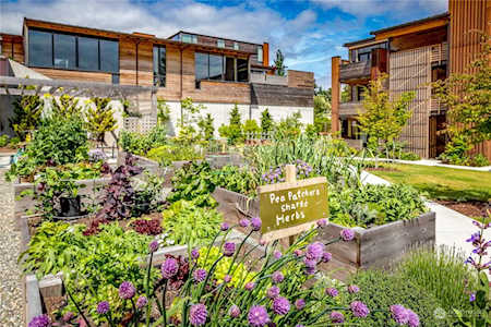 221 NW Wyatt Way NW #A204 Bainbridge Island, WA 98110