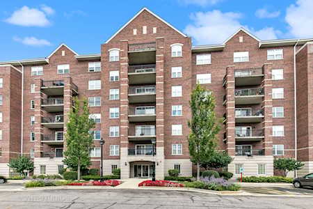 390 W Mahogany Ct #402 Palatine, IL 60067