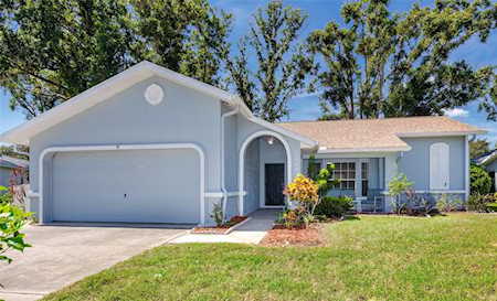 3528 E Links Ct Palm Harbor, FL 34684