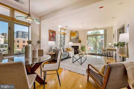 4025 Connecticut Ave NW #403 Washington, DC 20008