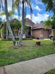 16905 Falconridge Rd Lithia, FL 33547