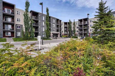 195 Kincora Glen Rd NW #210 Calgary, AB t3r0s3