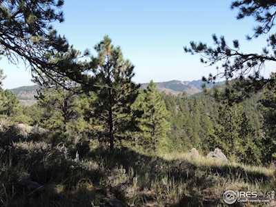 145 N Devils Creek Trl Livermore, CO 80536