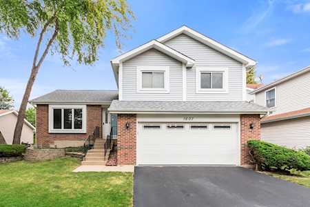 1607 Terri Circle Naperville, IL 60563