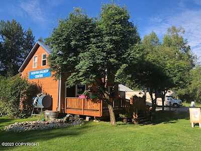 13512 E 1st St Talkeetna, AK 99676
