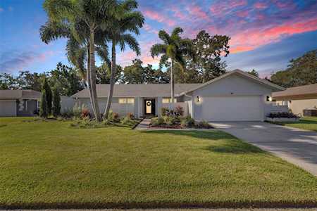 40 Linden Ln Palm Harbor, FL 34683