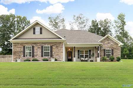 132 Lewis Vann Drive Hazel Green, AL 35750