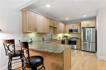 602 Trump Park Shrub Oak, NY 10588