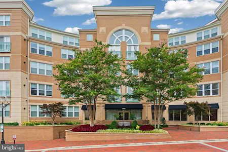 12000 Market St #380 Reston, VA 20190