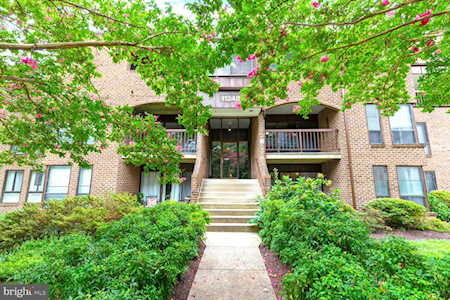 11248 Chestnut Grove Square Reston, VA 20190