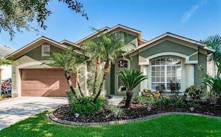 15554 Martinmeadow Dr Lithia, FL 33547