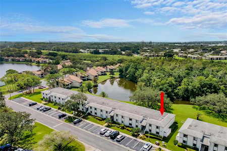 279 Cypress Ln Oldsmar, FL 34677