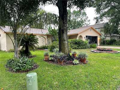 10328 Turkey Oak Dr New Port Richey, FL 34654