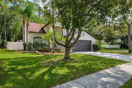 12808 Royal George Ave Odessa, FL 33556