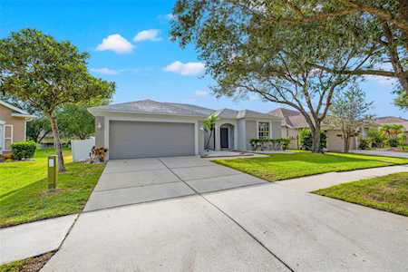 19149 Cherry Rose CIRCLE Lutz, FL 33558